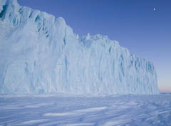 сколько льда в антаркиде