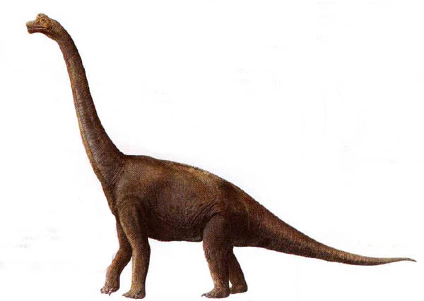 динозавр брахиозавр