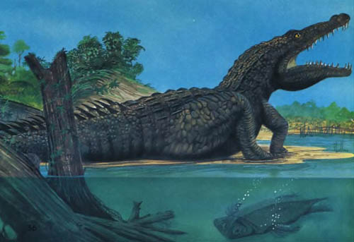 Древний крокодил саркозух
