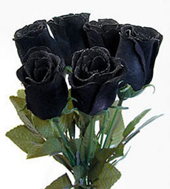 черная роза цветок