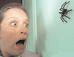почему человек боится пауков