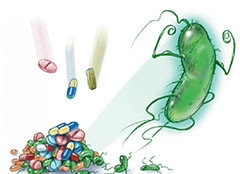 почему бактерии устойчивы к антибиотикам
