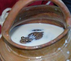 почему если посадить лягушку в бидон с молоком оно дольше не прокиснет