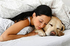можно ли собакам спать с хозяином в кровати