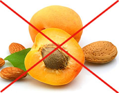 почему нельзя есть абрикосовые косточки