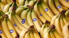 как появились наклейки на бананах