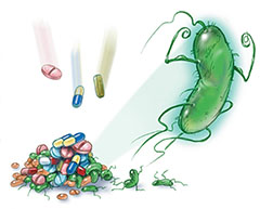 как работают антибиотики