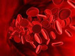 сколько крови в организме человека