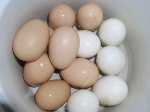 цвет куриных яиц