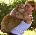 самая толстая в мире кошка